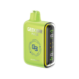 Geek Bar Plus 9000 Fuji Melon Ice