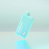 RabBeats RC10000 Miami Mint