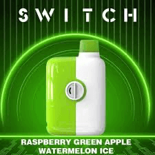 Mr.Fog switch - Green Apple Raspberry Watermelon Ice